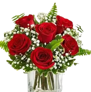 Crimson Noel Blooms