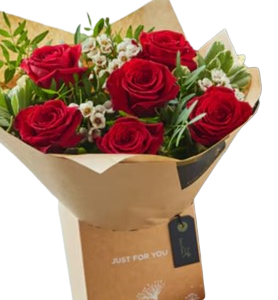 Roses Elegance Blossom
