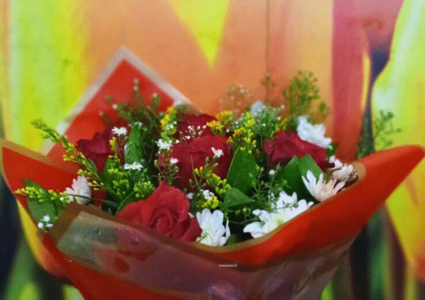 Crimson Rose Romance