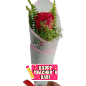 One and Only Single Rose