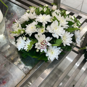 Pure White Chrysanthemum Sympathy Pot