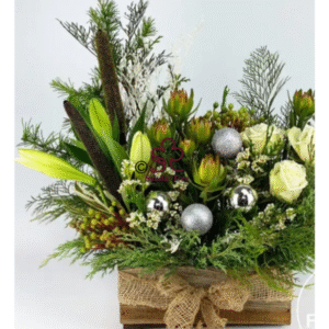 Modern Forest Christmas Box