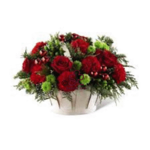 Christmas Joy with Roses
