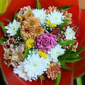 Vibrant Celebration Mix