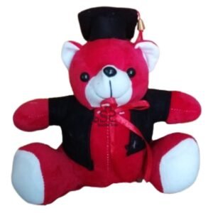 Red in Bloom Graduation Teddy