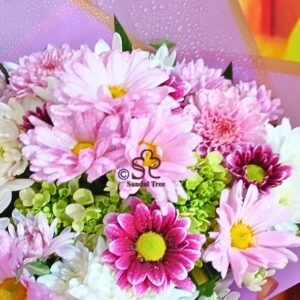 Pastel Dewdrops Arrangement