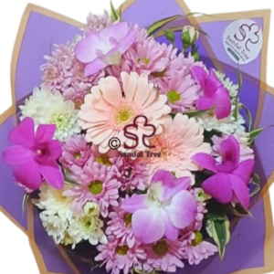 Radiant Orchid & Gerbera Dream