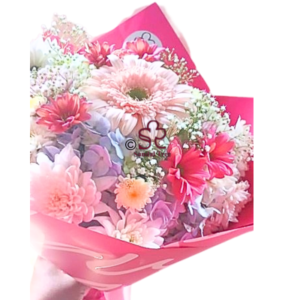 Radiant Pink Gerbera Wrap