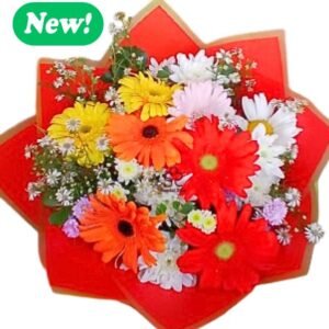 Radiant Gerbera Daisy Celebration Bouquet