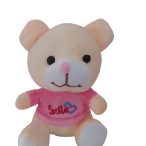 Adorable Cream Teddy Bear in Pink "Smile" Sweater