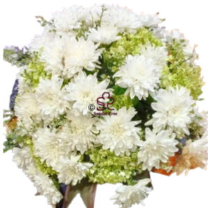 Pure White Sevvandi Mal Pokura for Poya Pinkama