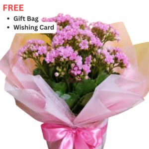 Blush Bloom Mother’s Day Floral Pot