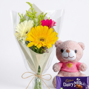 Bright Gerbera Bouquet with Teddy & Chocolate Combo