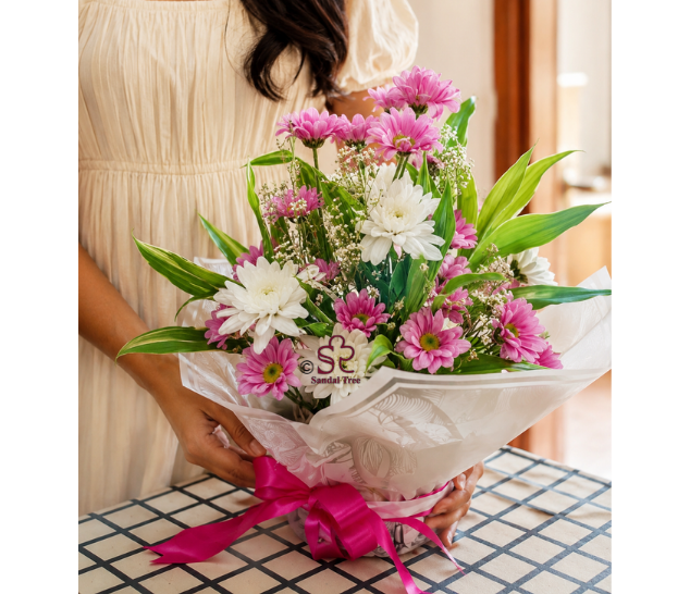 Elegant White & Pink Chrysanthemum Pot with Wrap