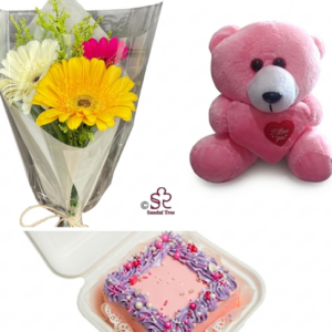 Gerbera Bouquet with Bento Cake & Pink Teddy Combo