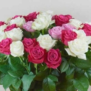 Rose - per rose