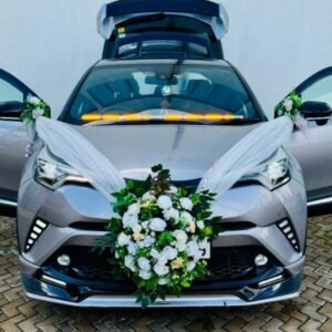 Grand Arrival Wedding Car Accents