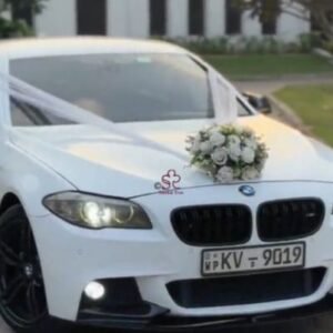 Timeless Journey Wedding Car Accent