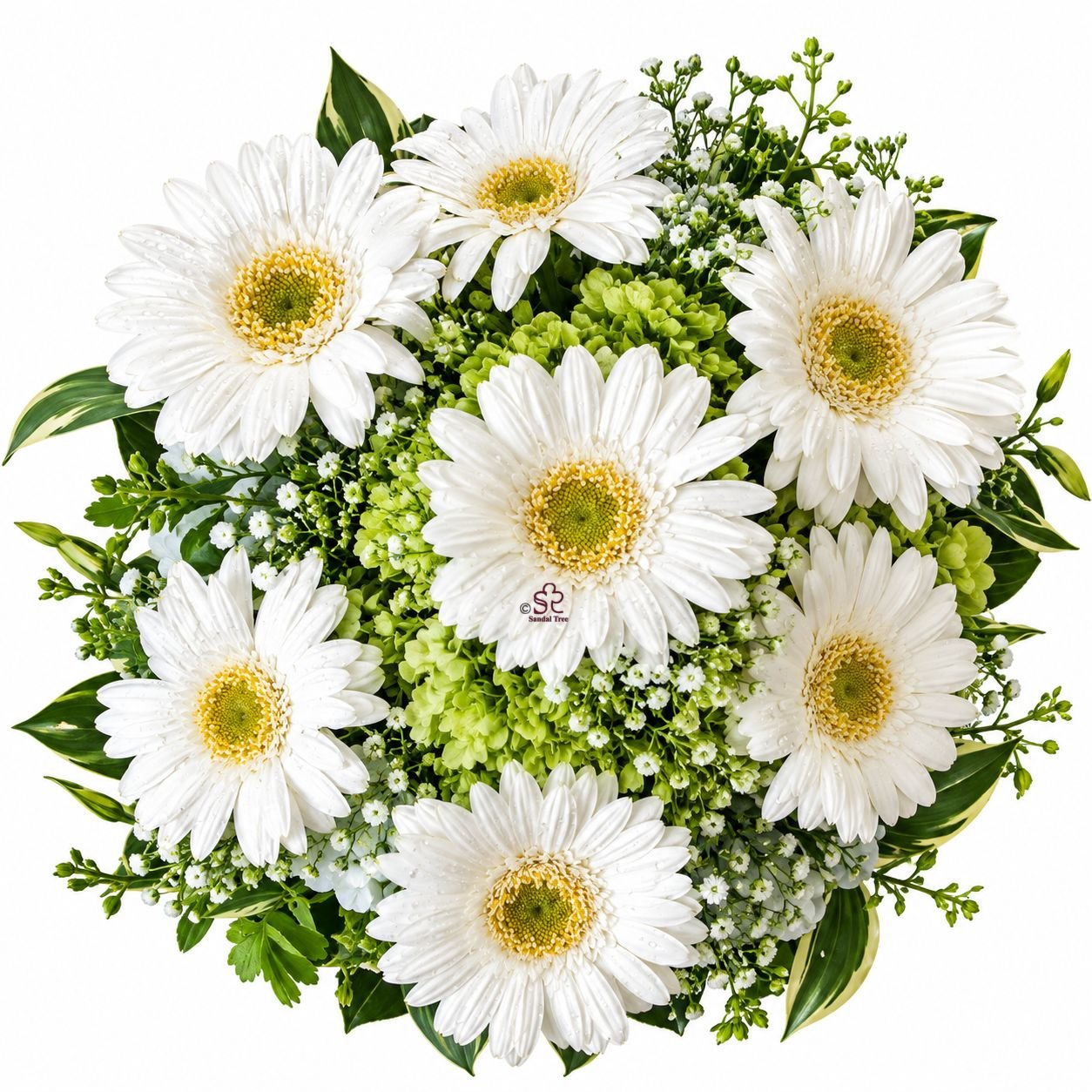 Serene Peace White Gerbera & Hydrangea Funeral Tribute Arrangement