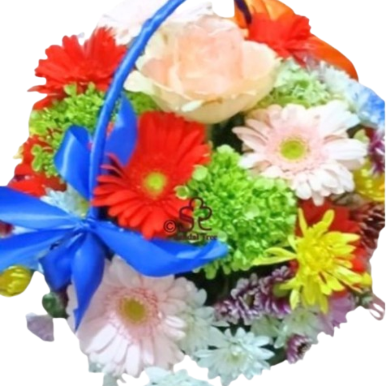 Beacon of Wisdom' Teacher's Appreciation Floral Basket